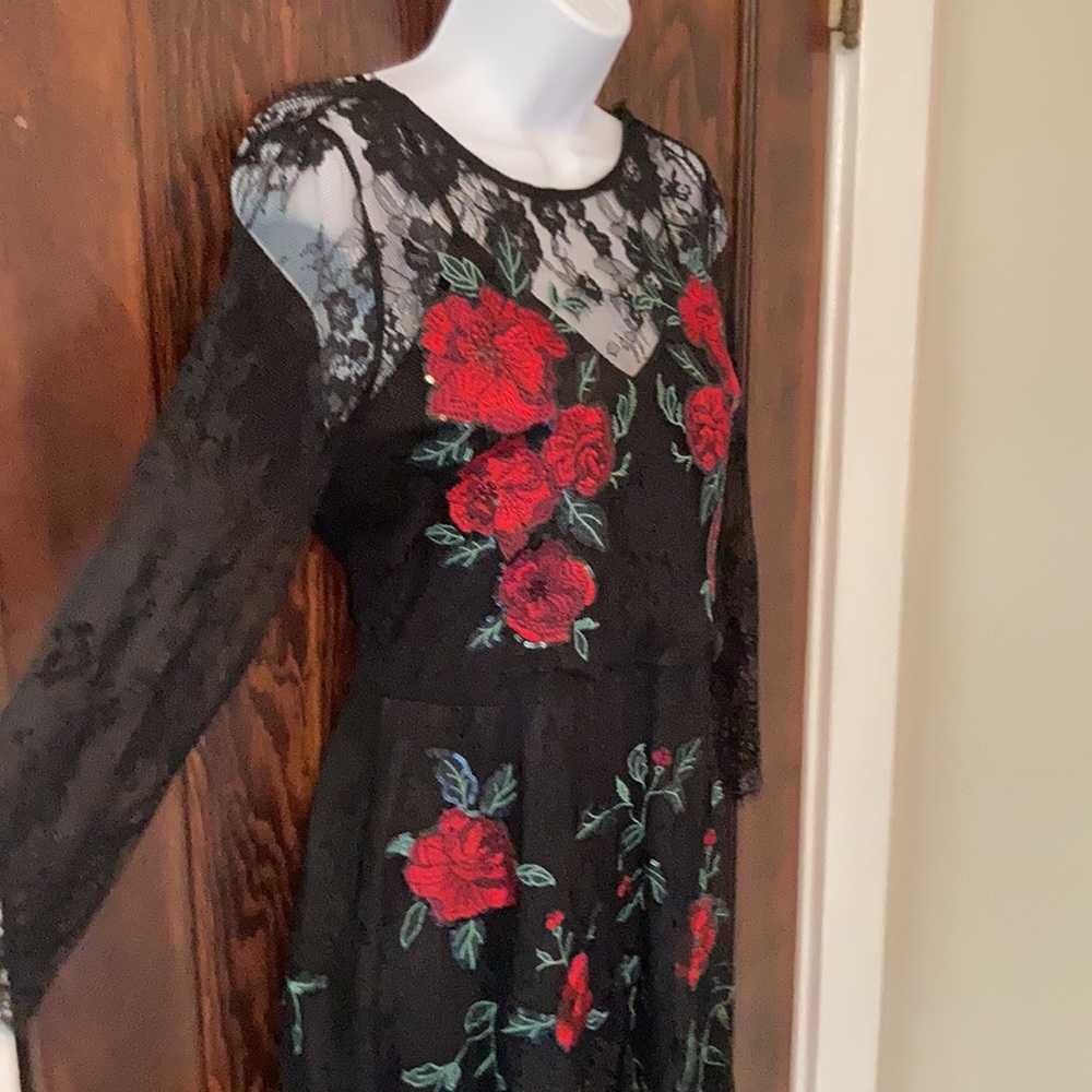 Express Embroidered Dress - Picture 2 of 6